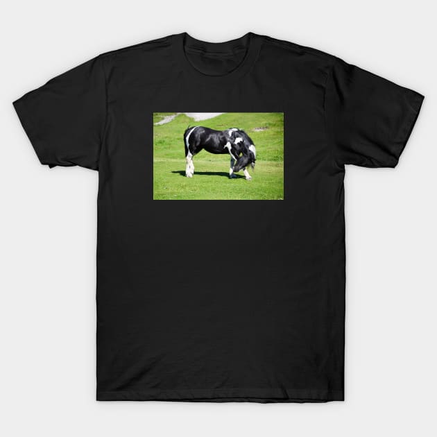 Horse / Swiss Artwork Photography T-Shirt by RaphaelWolf